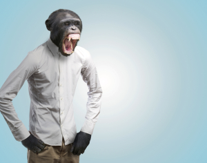 Concept Photo of Chimpanzee with a Man's Body Yawning